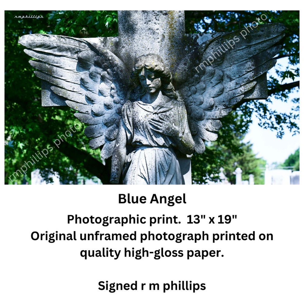 Photograph 13”x19” original unframed art print. “Blue Angel” by RMPhillips
